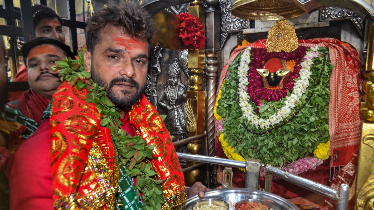 Bihar Election Result: Bhojpuri Superstar Khesari Lal Yadav Trailing In Chapra, BJP Leading