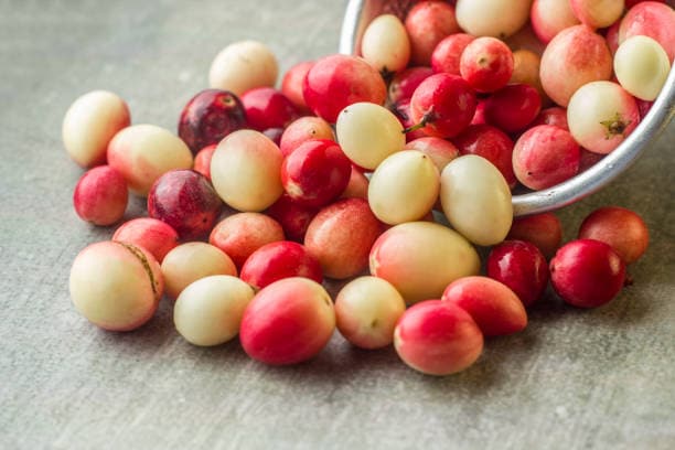 Karonda: This iron-rich berry thrives in arid and semi-arid regions of the country. It is often used in pickles and chutneys. The fruit is also rich in Vitamin C.