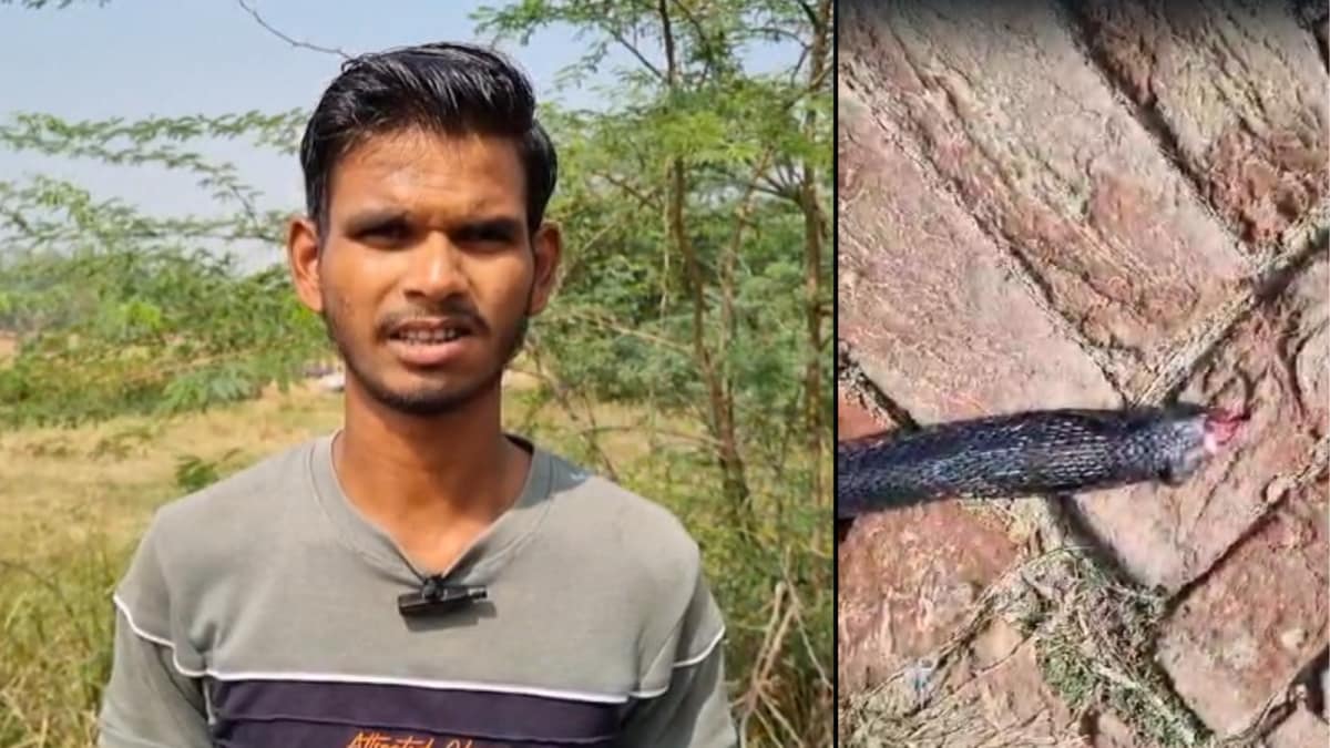 UP Farmer Bites Snake After Being Bitten By It, Says 'I Was Angry, Scared'