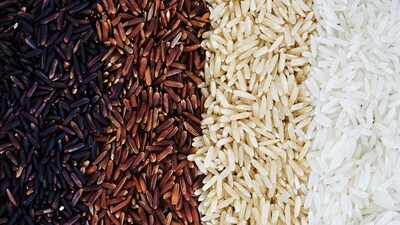 Ayurveda and modern science suggest rice isn't inherently fattening; choosing the right type matters.