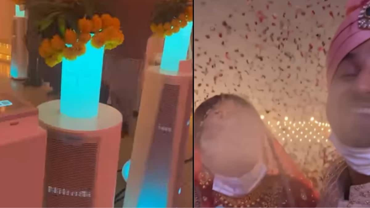 Viral Video Highlights Stark Air Pollution Contrast Between Vienna and Delhi