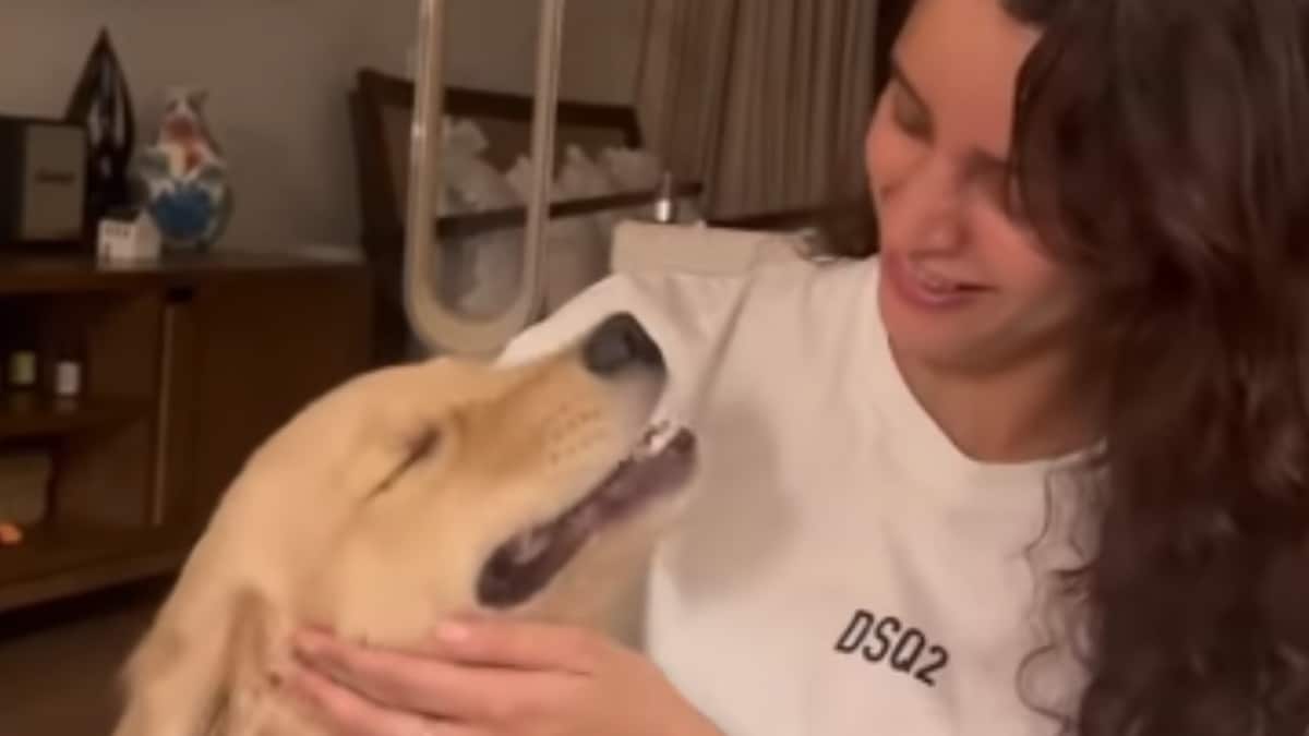 Triptii Dimri's Pets Remain Unbothered By Her Stardom: 'Who Are You Ma'am?' - News18