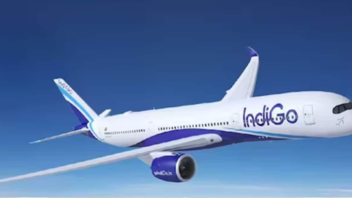 A320 Safety Alert: DGCA Grounds Aircraft, 338 Flights Hit; IndiGo, Air India Rush To Apply Fix