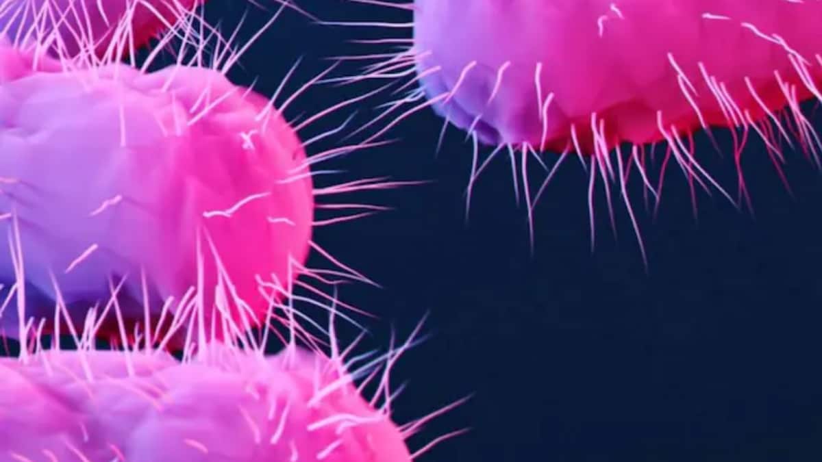 The Silent Pandemic: Why India Is Most Vulnerable And What’s The Plan