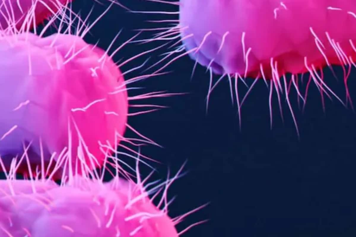 The Silent Pandemic: Why India Is Most Vulnerable And What's The Plan