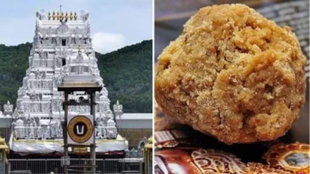 Tirupati Laddu Scam: Delhi Trader Arrested For Supplying Chemicals Used To Adulterate Ghee