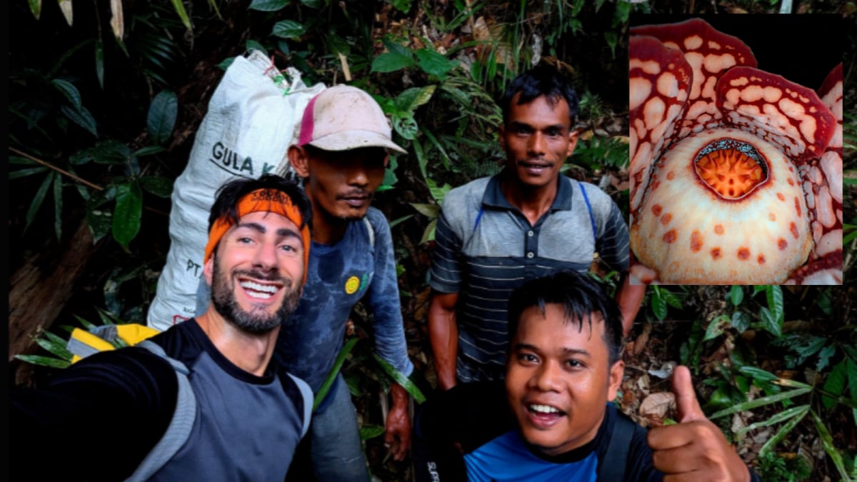 images.news18.com image