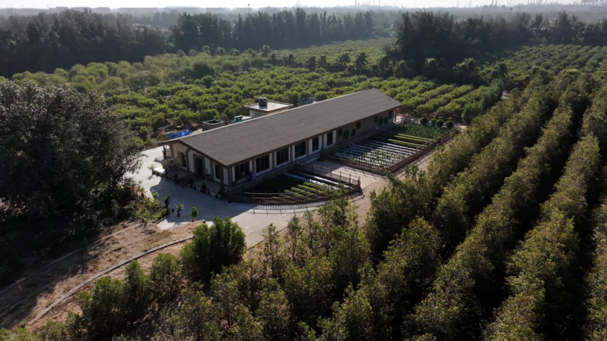 Vantara Gets Global Praise As CITES Highlights Facility's World-Class Animal-Care Standards