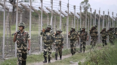 The recovered grenades were destroyed by security forces. (Image: PIB/File)