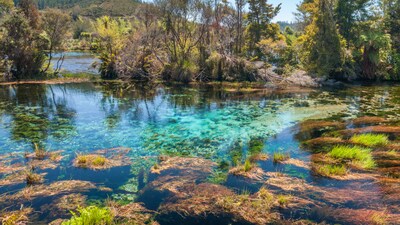 Some lakes are so clear they look unreal, revealing their depths like glass. Their purity comes from unique geology, natural filtration, minimal pollution, and cold temperatures. These crystal-clear waters offer rare glimpses into pristine ecosystems, making them some of the most breathtaking natural wonders on the planet. (Image-Canva)