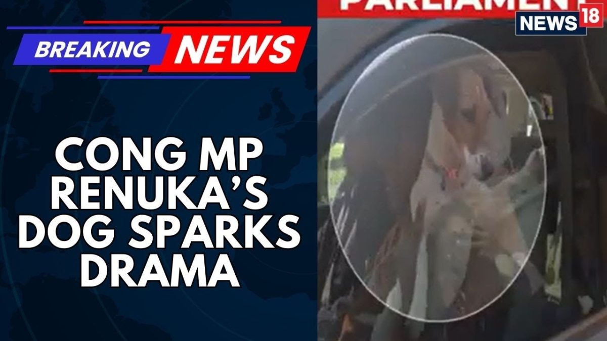 Renuka Chaudhary Brings Her Dog To Parliament Premises, Defends It By Saying The Govt Hate Animals