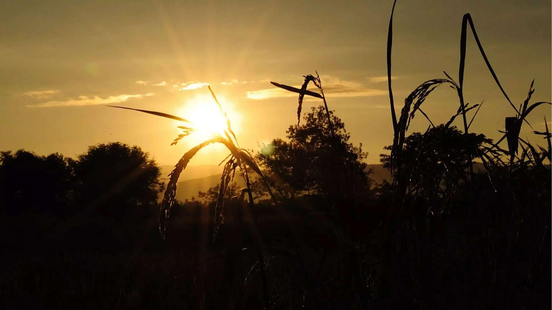 So, when it is still dark in all other parts of the state or even when the morning fog is covered, the golden rays of the sun begin to shine at the front door. Do you know what is the last sunset place in Karnataka?