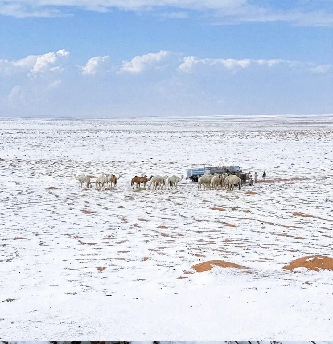 Saudi Arabia News , Saudi Arabia weather, Saudi Arabia snowfall, Saudi Arabia rain, Saudi Arabia cold wave, climate change Saudi Arabia, Tabuk snowfall, Riyadh weather, सऊदी अरब , सऊदी अरब मौसम, सऊदी में बर्फबारी क्यों, सऊदी अरब में ठंड क्यों