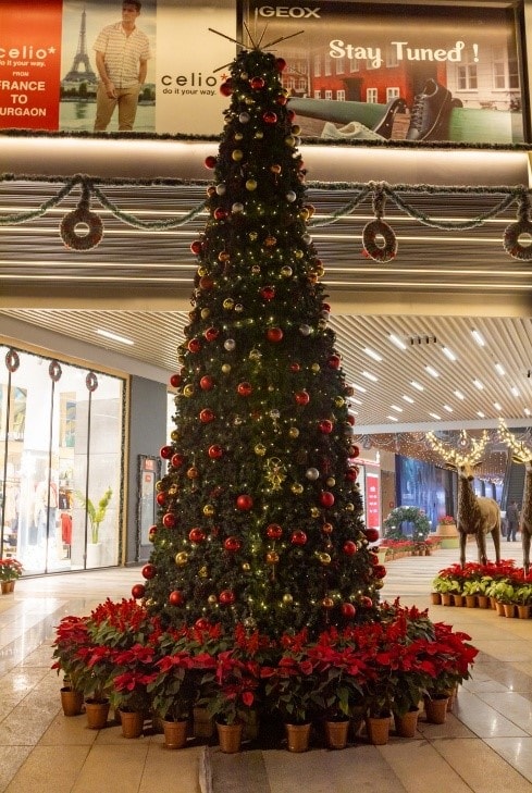 Delhi–NCR Malls Roll Out Festive Christmas Celebrations With Lights, And Family Activities