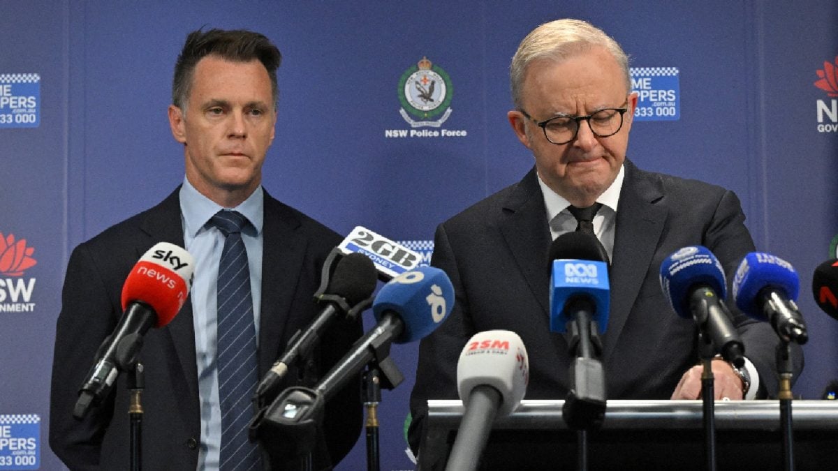 Bondi Beach Father-Son Shooter Duo Were Driven By Islamic State Ideology: Australian PM