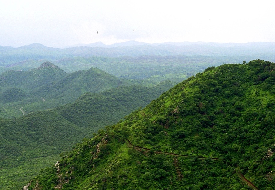  Recharging Groundwater: Rainwater seeps through fractured Aravali rocks, recharging aquifiers. In some some areas, one hectare replenishes over two million litres annually, supporting drinking water in Rajasthan, Haryana and Delhi. 