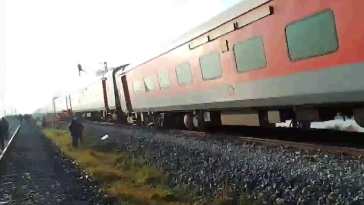 8 Elephants Killed After Collision With Rajdhani Express In Assam, Five ...