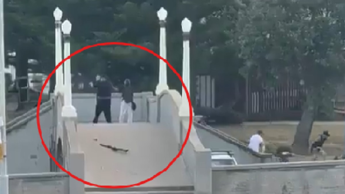 ‘Every Australian Wanted To’: Bystander Feels No Remorse After Stomping On Bondi Shooter’s Head