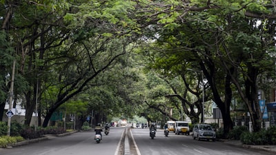 The city ranks as the second most popular solo travel destination in India, driven by its welcoming atmosphere, cultural diversity and excellent connectivity. (Image: Getty)