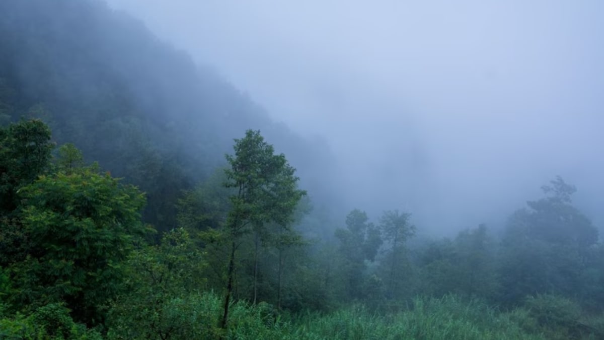 Cold Alert For Bengaluru: IMD Warns Of Severe Chill Across Interior Karnataka | India News