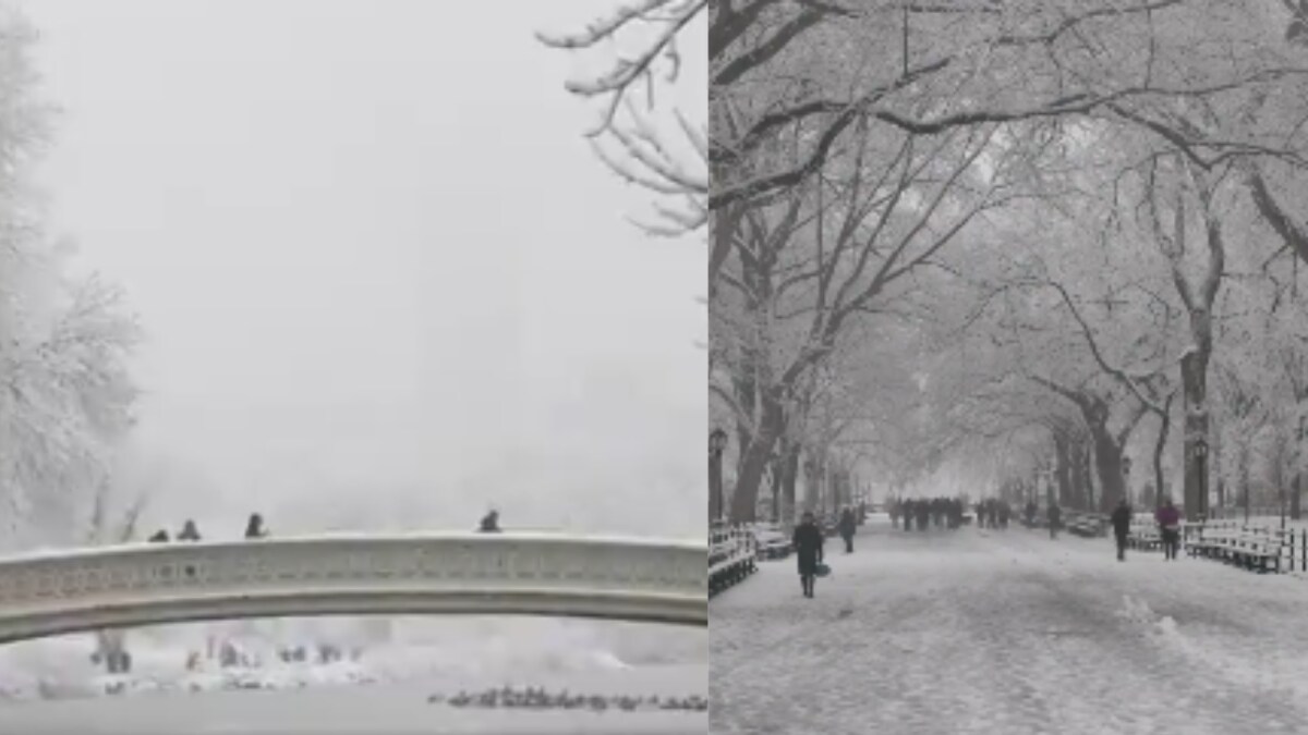 New York’s First Heavy Snowfall Turns Central Park Into ‘Magical ...