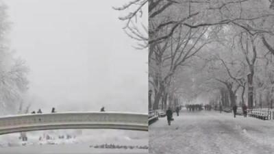 Snow caused brief travel trouble, but Central Park’s winter views won hearts online.  (Photo Credit: X)