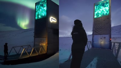 The vault is carved approximately 120 metres into solid rock. (Photo Credit: Instagram)