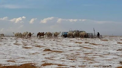 Al-Jawf is located in the northern part of Saudi Arabia