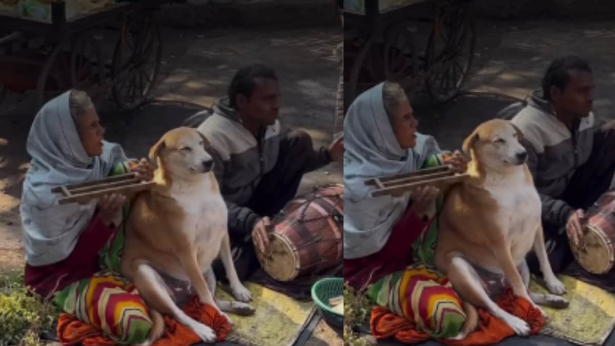 Dogesh Bhai Enjoys Roadside Bhajan Moment