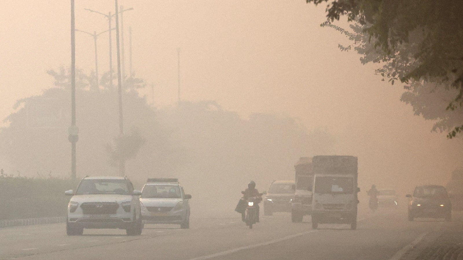 Preventing Dust Storms
