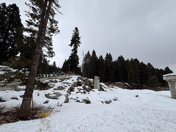 Doodhpathri, Jammu and Kashmir: It is yet untouched by mainstream tourism, Doodhpathri’s snow-covered fields and pine valleys offer a serene escape. It’s ideal for travelers who love raw winter landscapes away from busy spots. Doodhpathri, Jammu and Kashmir: It is yet untouched by mainstream tourism, Doodhpathri’s snow-covered fields and pine valleys offer a serene escape. It’s ideal for travelers who love raw winter landscapes away from busy spots.