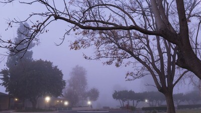 Bengaluru is likely to see below-normal temperatures with foggy or misty mornings, though no severe weather is expected. Image: Canva