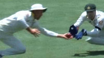 Marnus Labuschagne pulls off another one-handed stunner (X)