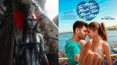 Exhibitors reduce Avatar: Fire and Ash shows by 30% on Christmas.