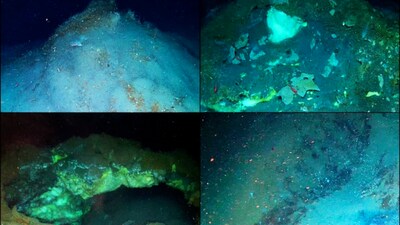 Freya Hydrate Mounds of varying sizes. (Credit: UiT / Ocean Census / REV Ocean UiT / Ocean Census / REV Ocean)