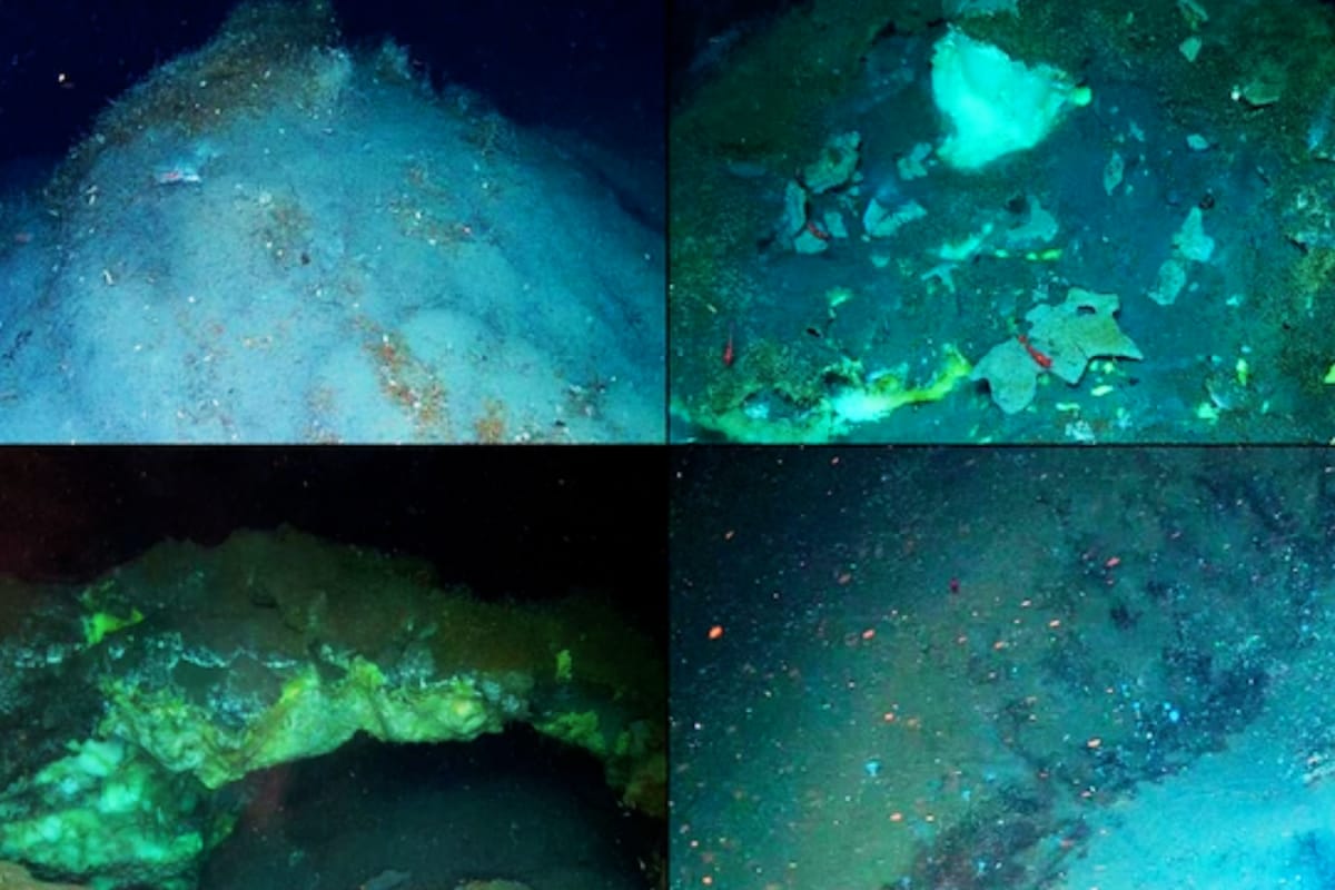 Deepest Arctic Methane Mounds & Unique Life Discovered in Greenland Sea