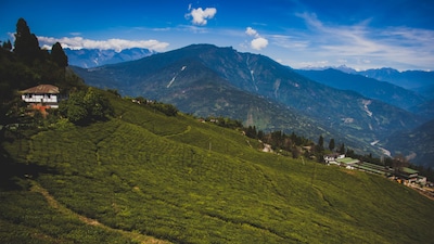 Guwahati, Assam: Guwahati, the bustling gateway to India’s Northeast, combines riverfront charm with lush surrounding hills. The Brahmaputra glimmers through morning mist, while local markets and riverside promenades provide a vibrant, grounded experience. Well-connected by road and rail, it is a reliable alternative when flights are uncertain. Beyond its urban core, travellers can explore tea estates and nearby hill stations. Travellers can choose between restored heritage homes, premium resorts, and smaller independent stays that reflect the character of the region, including properties such as Mayfair Spring Valley Resort, among others. (Image: Canva)