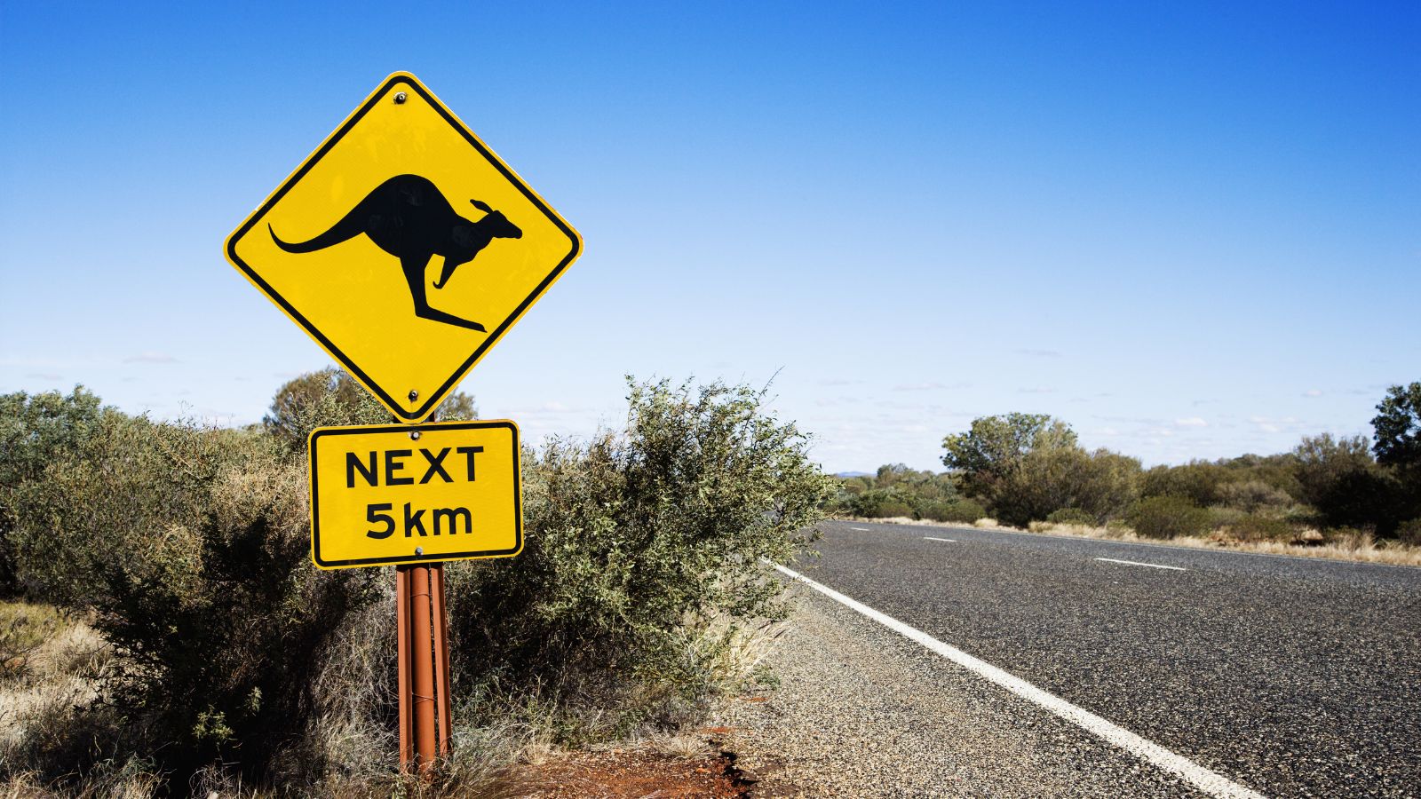 Top 10 Longest Roads In The World