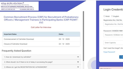 The last date to download the IBPS PO interview call letter is December 24.