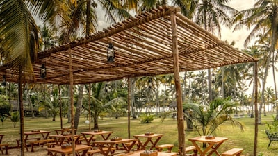 Wake up to acres of swaying coconut palms that open out to soft golden sands, a sea so perfectly tempered it tempts you in, and the rhythmic pull of Kerala’s iconic fishing nets (In frame: Marari Beach Resort)