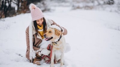 Winter vacations with dogs are all about thoughtful preparation, familiar comforts, and letting your pet explore new places safely and confidently.