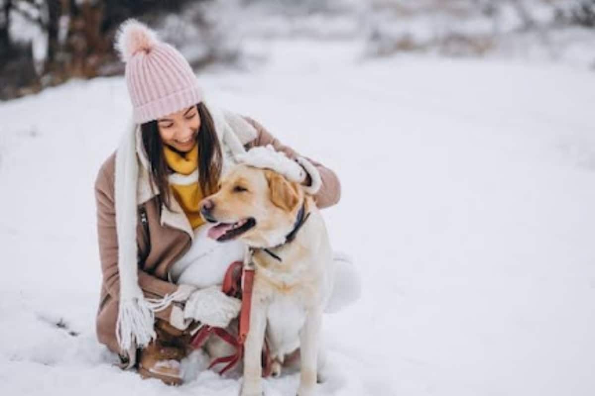 Cold Weather, New Places: Preparing Your Dog For Winter Vacations