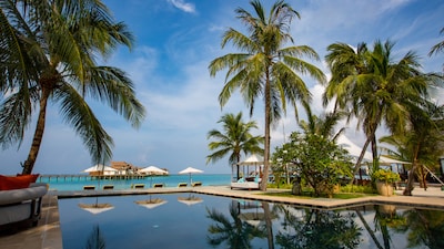 A glimpse into the culinary world of OZEN RESERVE BOLIFUSHI, where fine dining, all-day indulgence, and oceanfront settings come together to create an immersive, multi-sensory gastronomic experience.