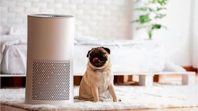 Closing windows during peak smog hours, using air purifiers, and maintaining clean living spaces can significantly reduce indoor pollution levels.