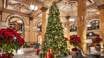 A luxury getaway designed for slow mornings, festive evenings and unforgettable memories.