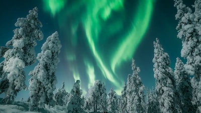 Rovaniemi’s unique appeal lies in its extraordinary proximity to untouched nature. [Copyright: ©Visit Rovaniemi]