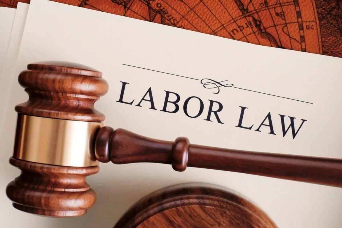 New Labour Codes: How 50% Basic Pay Rule May Impact Your In-Hand Salary