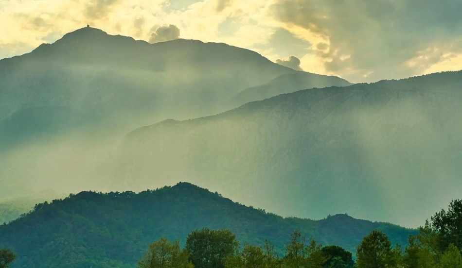 Limits Soil Errosion: The hills limit soil erosion and helps farms retain moisture and nutrients, improving crop resilience during dry spells or heavy downpours.