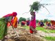 MGNREGA is a demand-driven wage employment scheme and fund release is a continuous process, as per official records. (PTI)