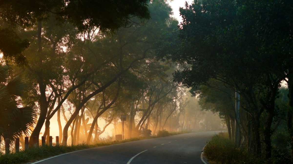 Bengaluru Shivers As Temperatures Dip, Dense Fog Disrupts Morning Commutes